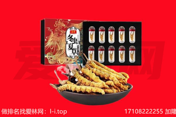 锦州回收虫草.jpg